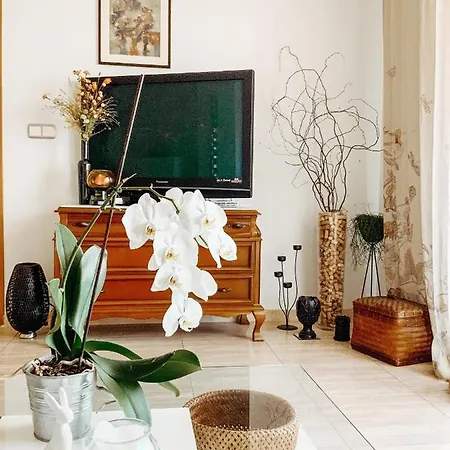 Apartment Apolo *