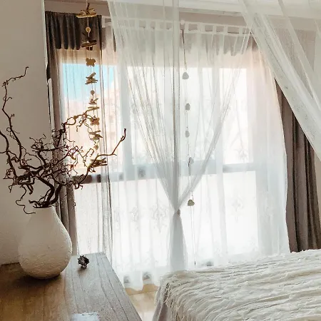 Apartment Apolo
